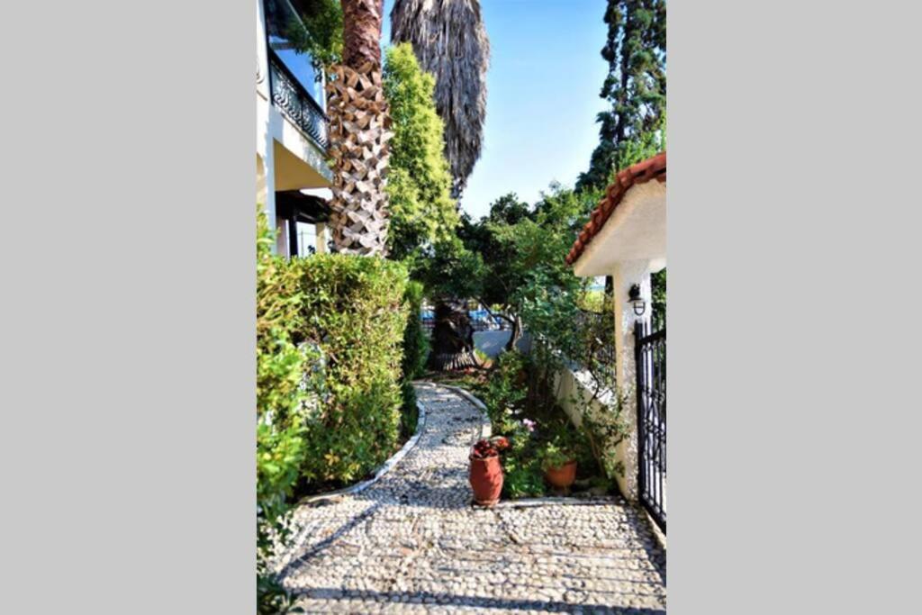 Calma Luxury Apartments #1 Sozopoli In Halkidiki 외부 사진