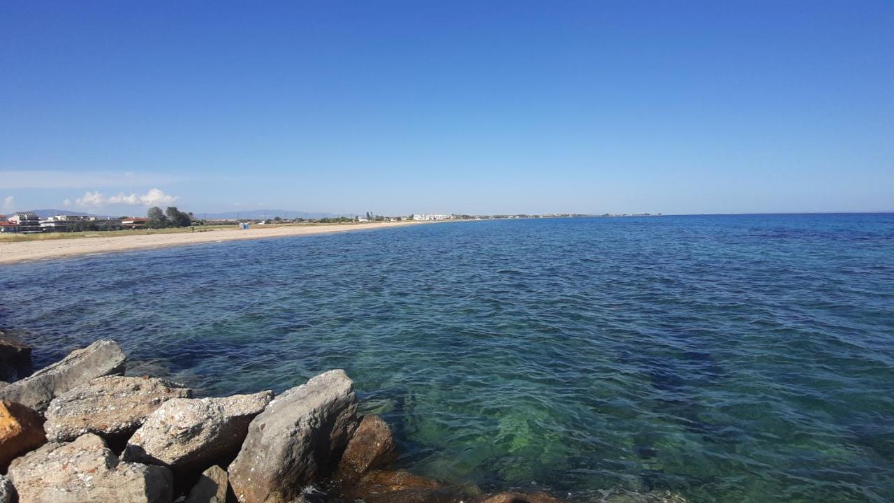 Calma Luxury Apartments #1 Sozopoli In Halkidiki 외부 사진